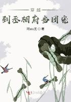 穿越为丞相家嫡女的