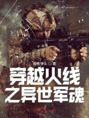 穿越火线之异世军魂 纯金弹头