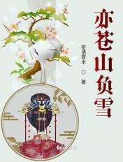 苍山负雪云中鹤