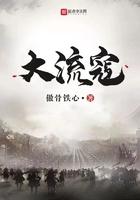 大流寇全本TXT