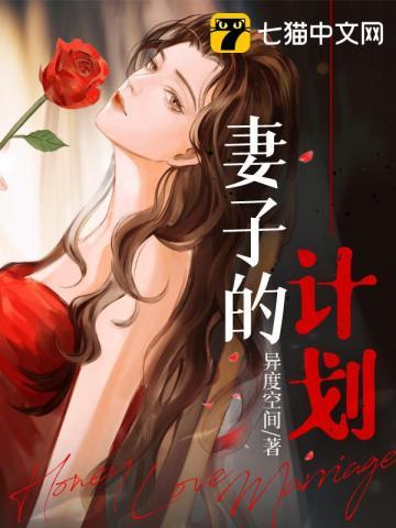 妻子的计划大结局