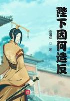 陛下因何要照反