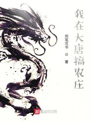 我在大唐开农家乐