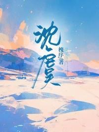 沈虞和陆司白最新章节更新