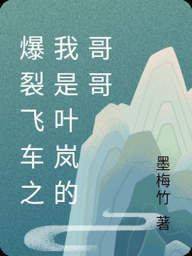 爆裂飞车叶岚身份