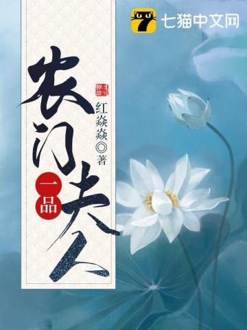 农门一品妻