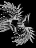 尸控疗法2在线观看