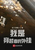 穿越者穿越了自己精品网