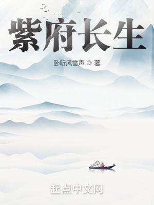 紫府长生经