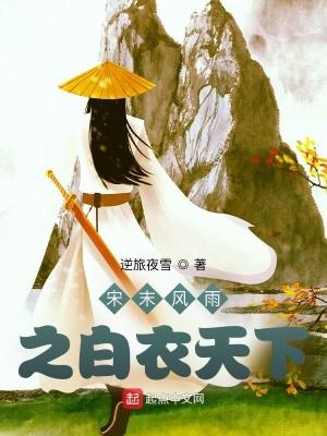 宋末风雨之白衣天下123