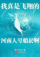 我真是飞翔的河南人号船长啊免费阅读