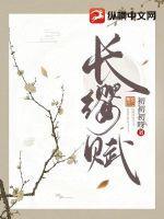 长缨赋现在能买吗