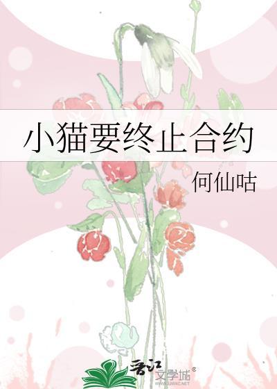 小猫要终止合约_何仙咕