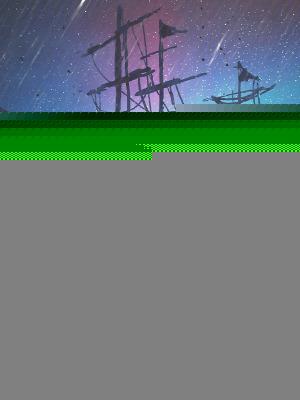 大航海我的完美人生无错版