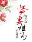 重生之贤妻难为全文免费阅读全文