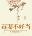 毒妻不好当免费阅读全文