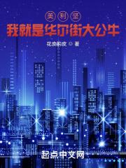 美国华尔街视频