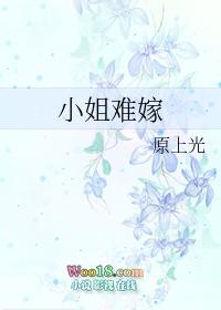 小姐难嫁gl资源