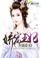 娇宠王妃从天降萌宝开始