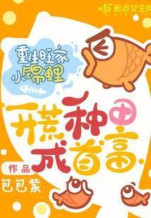 重生旺家旺夫小农女