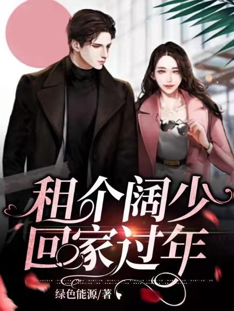 租个回家过年的插曲