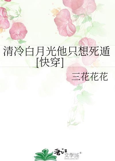清白月光txt