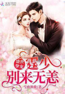 男主角盛霆琛的