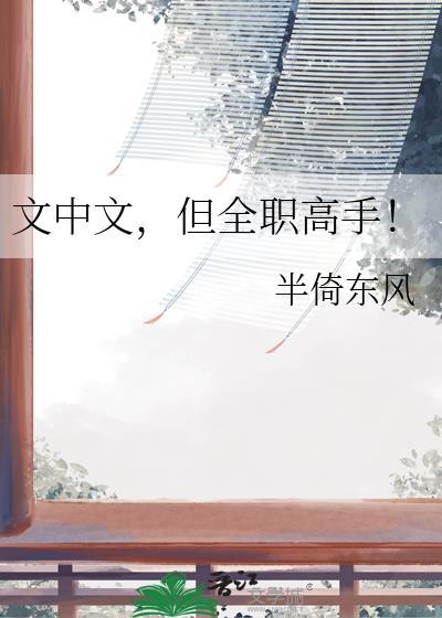文中文但全职高手