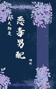 我夫郎是恶毒男配by端瑜番外