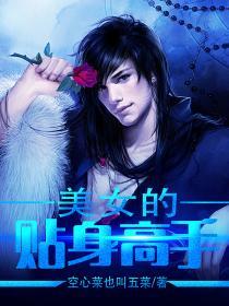 美女的贴身高手陈扬版