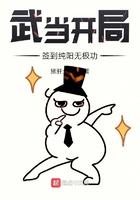 武当开局签到纯阳无极功起点