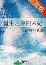 重生之康熙荣妃完结无防盗版