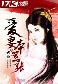 爱妻太抢手免费阅读全文