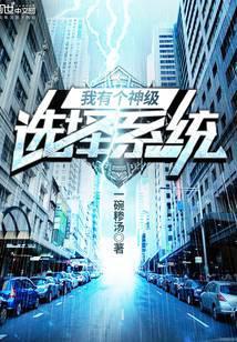 我有神级选择txt