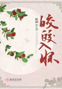 皎皎入怀全集免费播放