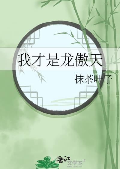 我才是龙傲天其他笔名