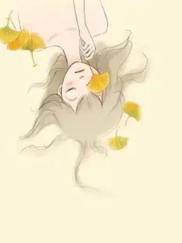 处处遗憾是什么歌