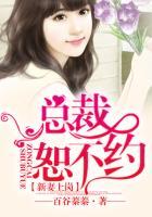 总裁宠妻宠上天