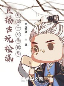 开局十万倍收益暗夜舞