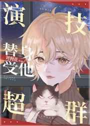 替身受他演技超群好看吗