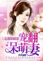 总裁霸道宠妻宠翻天