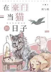 在豪门当猫的日子 鸦与歌