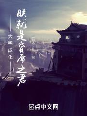 大明成化朕就是昏庸之君五与六