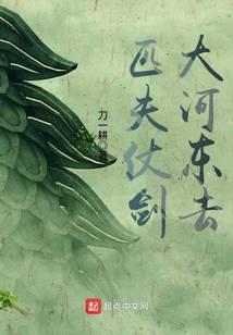 匹夫仗剑大河东去百度百科