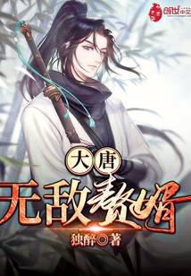 大唐无敌赘婿免费阅读