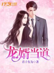 龙婿当道全文免费