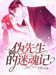 神秘的伪装大结局是什么