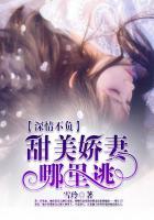 深情不负沈少的心尖宠在线阅读