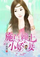 施总赖上小娇妻全文阅读