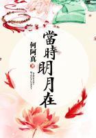 当时明月在曾照彩云归表达的感情